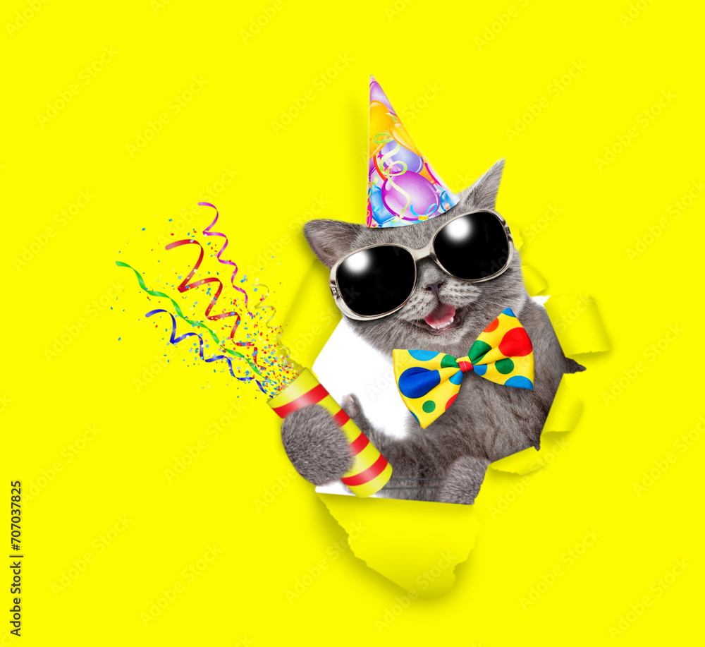 Poster happy cat wearing wearing sunglasses, party cap and tie bow and looks through the hole in yellow pap