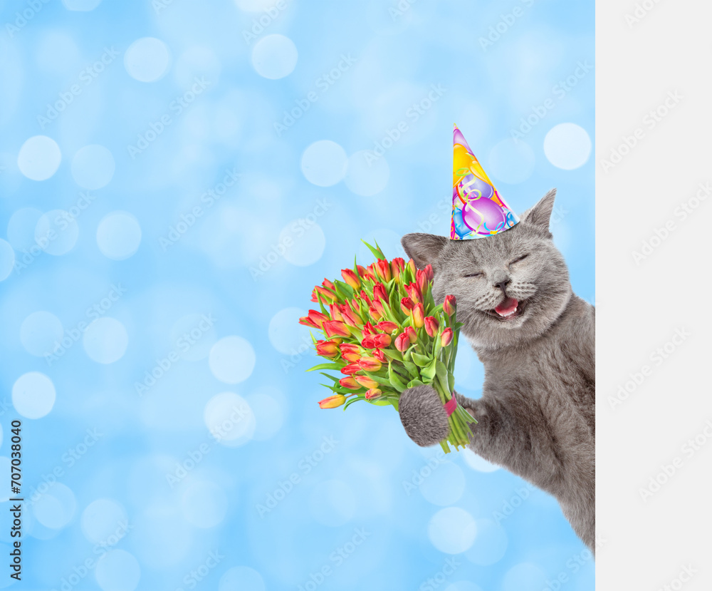 Poster happy cat wearing party cap holds bouquet of tulips and looks from behind empty white banner on fest