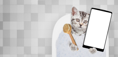 Obraz premium Funny kitten takes the bath with foam at home and shows big smartphone with white blank screen in it paw. Top down view. Empty space for text