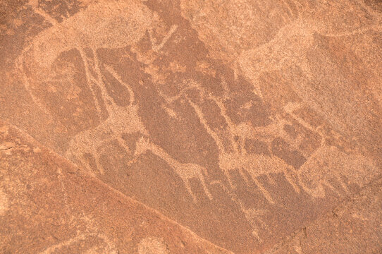 prehistoric bushmen engravings on a red rock in Twyfelfontein, damaraland, namibia
