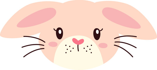 Rabbit Animal Face