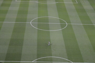 el césped del estadio © Alejandrita