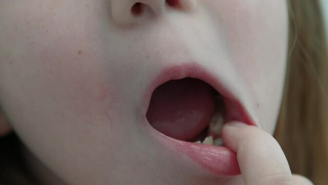 A child's baby tooth has fallen out large. High quality photo