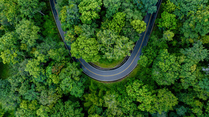 Aerial top view road in forest with car motion blur. Winding road through the forest. Car drive on...