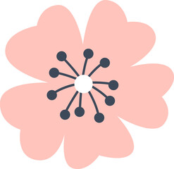 Blooming Flower Head