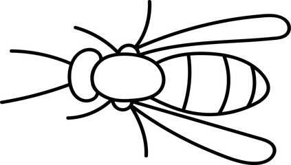 Bee Insect Outline