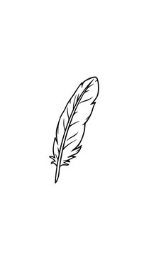 pluma vector