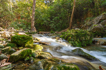 Naklejka na ściany i meble River and rocks in the forest