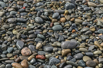 sea ​​stones in winter on the beach in Cyprus 5