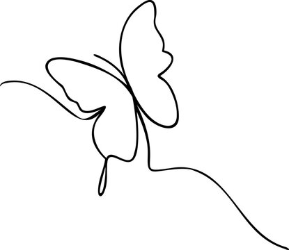 Butterfly logo outline vector illustration. Butterfly sketch hand drawing stylized decorative design elements