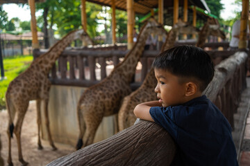 Asian kindergarten boy enjoying  with giraffe in zoo