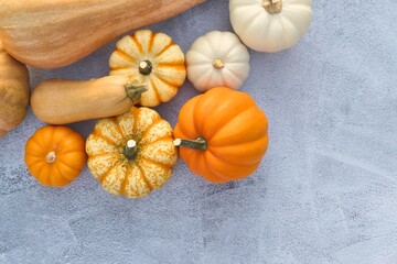 Various pumpkins and squashes on grey background. Copy space for text.