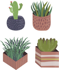 Set of four potted plants including cactus and succulents. Indoor houseplants collection, home decor botanical theme vector illustration.