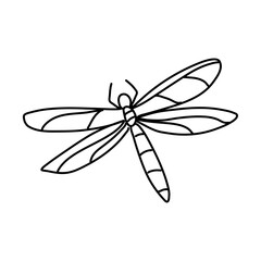 Hand Drawn Dragonfly