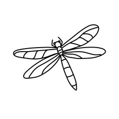 Hand Drawn Dragonfly