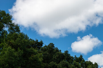Obraz premium cielo azul con nube