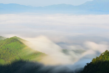 奈良県の玉置山の雲海