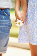 Holding hands, flower or closeup of couple on outdoor date for support, care or love in nature together. Walking, romantic man or woman with pride on holiday vacation for fun bond, travel or wellness
