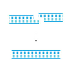 DNA Ligase Enzyme Function Scientific Design. Vector Illustration.