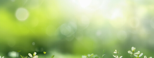 Nature background, Blurred bokeh: Close-Up with Copy Space
