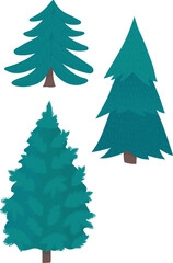 Three different styles of evergreen trees, pine forest elements, stylized Christmas trees. Nature, season, winter trees vector illustration.