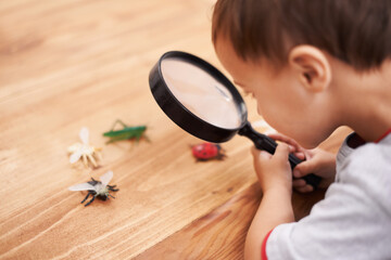 Child, study and learning about insect with magnifying glass, investigation and science education....