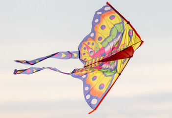 A kite in flight in the sky