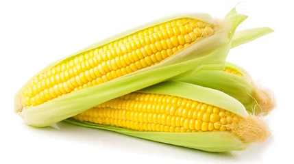 Fotobehang Two ears of corn isolated on white background closeup. Sweet corn © Ai Creation