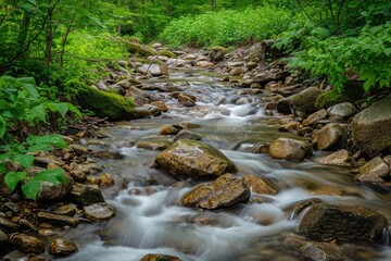 A tranquil river cascades through a lush forest, nourishing the diverse plants and animals in its riparian zone while creating a peaceful oasis in the midst of a wild and rugged landscape