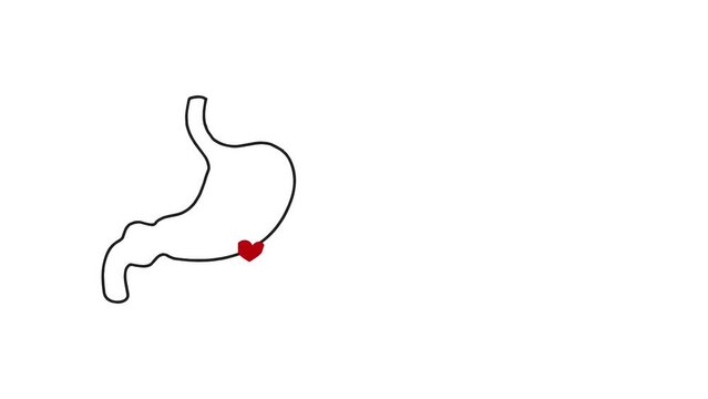 Stomach icon. Outline illustration of stomach vector icon. Suitable for Healthcare Content