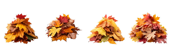 Set of  Heap of autumn leaves on transparent background 