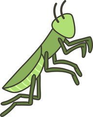 Grasshopper Flat Illustration