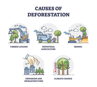 Causes of deforestation and wood resources consumption outline collection set, transparent background. Labeled educational list with mini scenes for environmental problem illustration.
