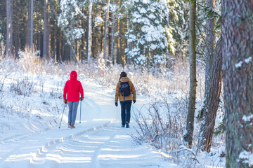 couple walking in winter forest