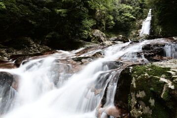 Fototapeta premium 奈良県の十津川村にある笹の滝