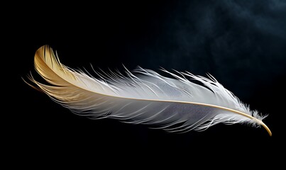 Luxury feather photography with smoke on black background, Generative Ai


