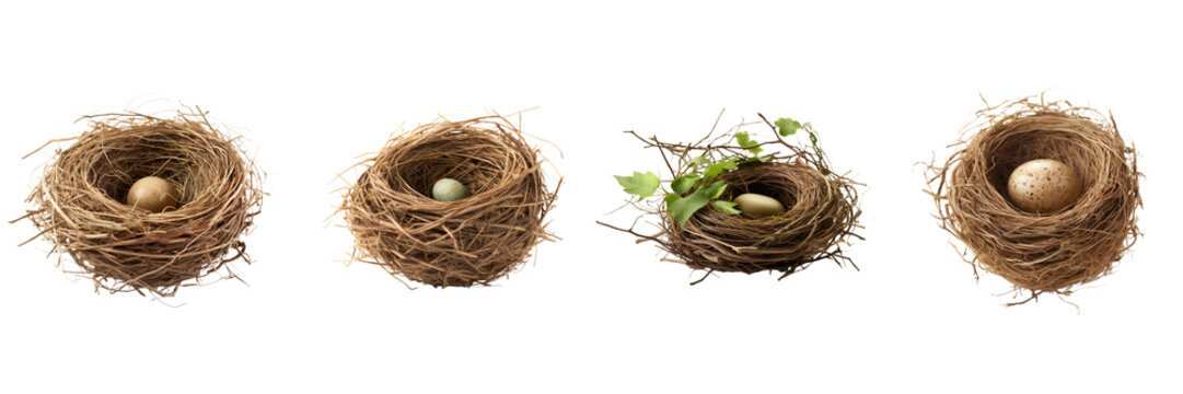 set of bird nest, isolated on a transparent background