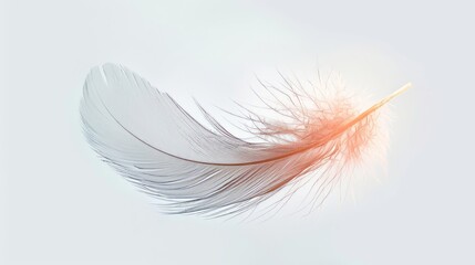 White Feather Floating in the Air, Serene and Delicate Beauty in Motion