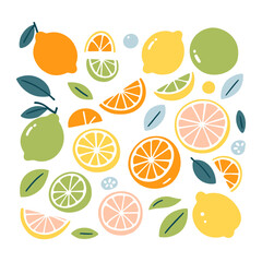 A set of vector illustrations of citrus fruits and leaves, images of orange, lemon, lime, grapefruit, tangerine and leaves, color flat icons for design.