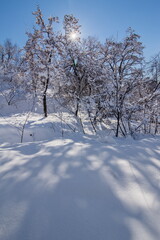 Winter landscape on a bright sunny day.