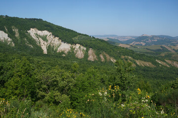 Summer landscape near Pescopagano, Basilicata, Italy