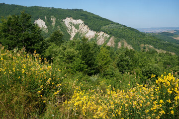 Summer landscape near Pescopagano, Basilicata, Italy