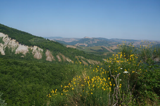 Summer landscape near Pescopagano, Basilicata, Italy