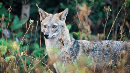 Wildlife Photography Expedition