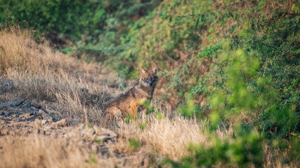 Wildlife Photography Expedition
