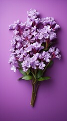 Purple flowers bouquet isolated background. Generative AI.