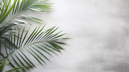 Banner with free space with green palm tree branches on concrete background.
