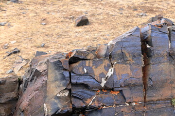 Petroglyphs at the Song kol lake in Kyrgyzstan, Central Asia