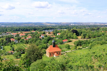view over Dresden from the Pillnitz vineyards