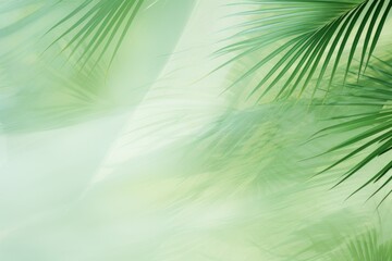Green palm leaves on blurred nature background with copy space for your text